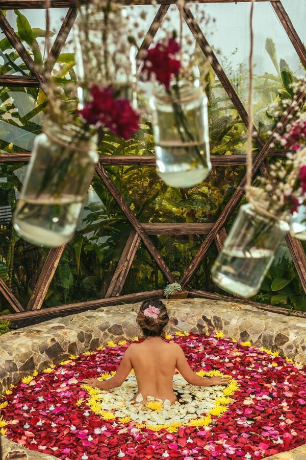 Nacimiento Glamping San Agustín